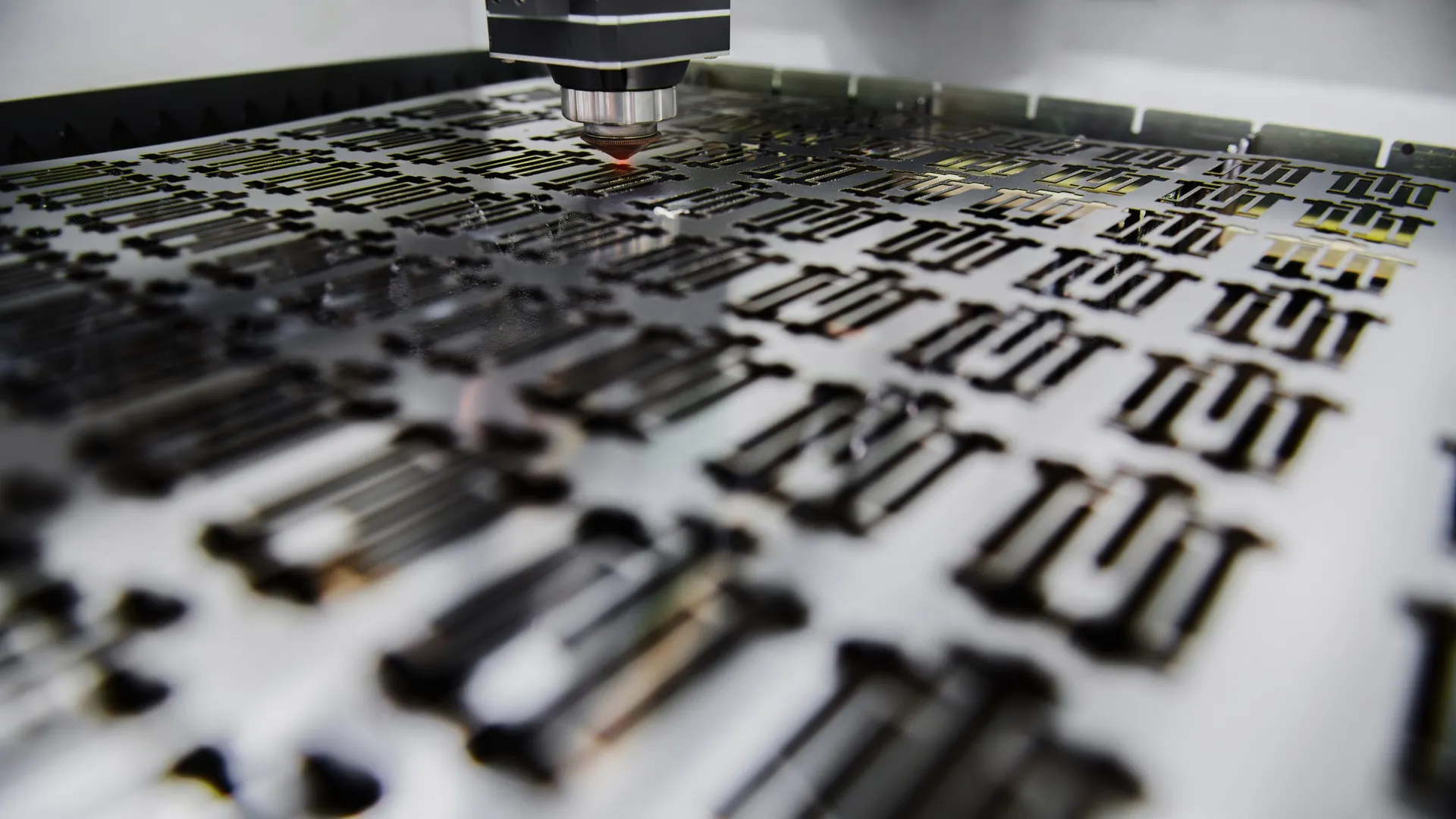 laser cut - WEB